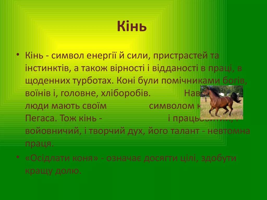 Значение лошадка. Конь символ чего. Символ лошади что означает. Чего символизирует лошадь. Значимость лошадей в жизни человека.