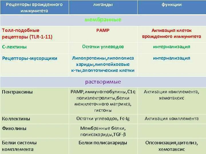 Рецепторы врожденного иммунитета. Рецепторы врожденного иммунитета. Рецепторы врожденного иммунитета. Рецепторы врожденного иммунитета. Рецепторы врожденного иммунитета.
