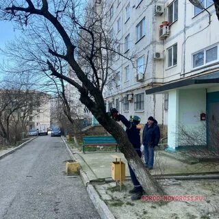 Холодный порывистый ветер в новороссийске 4