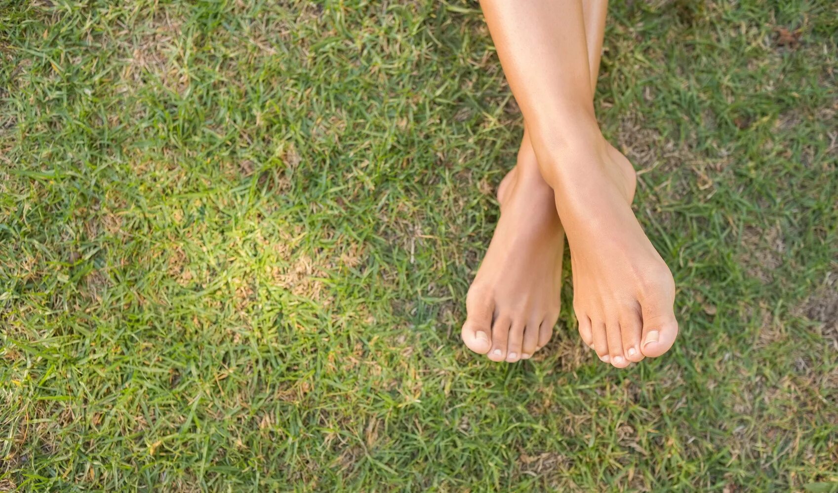 Где живут ноги. Босые ступни. Босые ноги на траве. Босые девушки на траве.