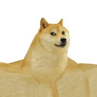Мем собака и ребенок