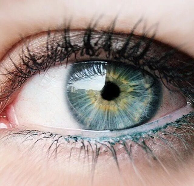 Глаза хамелеоны у человека. Серо зелено голубые глаза. Серо голубо желтые глаза. Серо-зеленые-голубые-желтые глаза. Зелёно-голубые глаза.