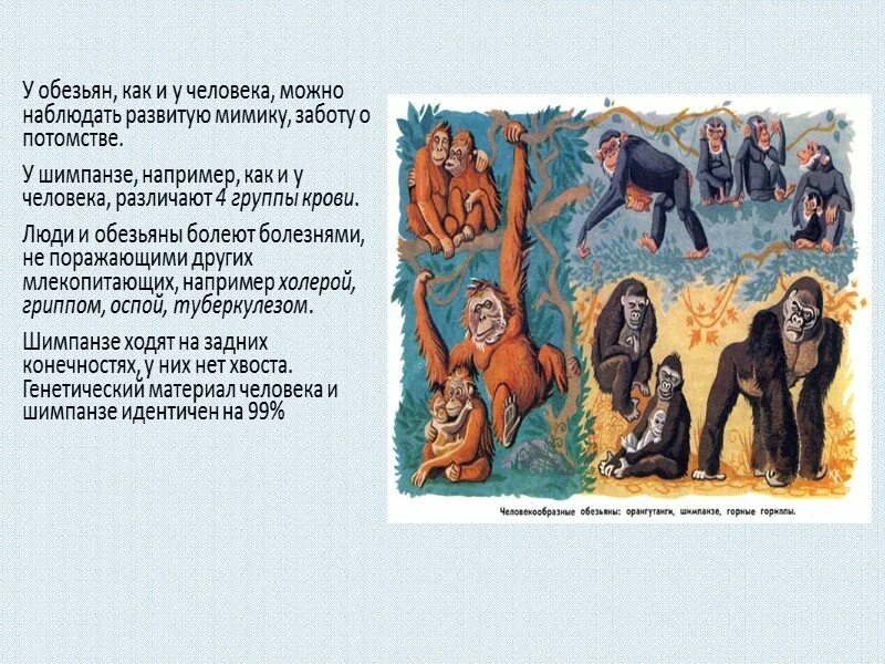 Происходящих от одного общего предка
