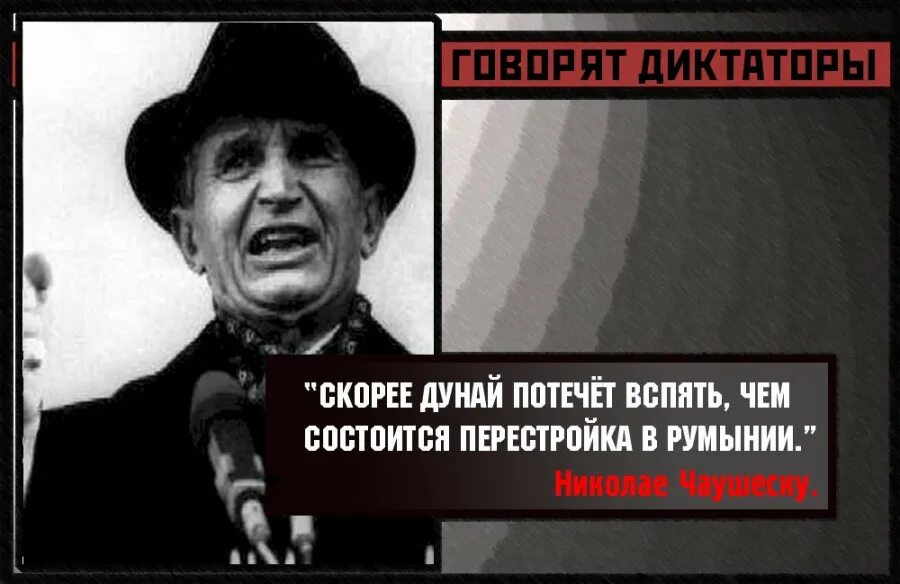 Движение вспять это общественный. Цитаты диктаторов. Цитаты о диктатуре. Афоризмы о диктаторах. Демотиваторы про диктаторов.