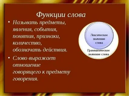Слова соотношения