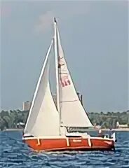 Wild sail