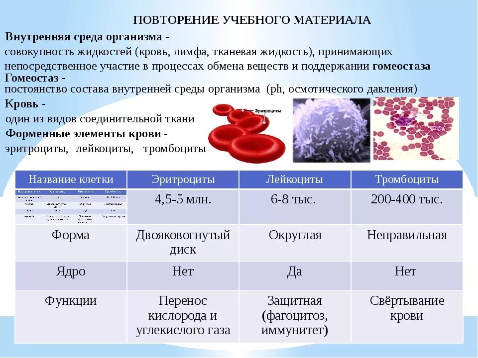 Фермент тромбоцитов. Состав крови биология 8кл. Состав и функции крови 8 класс биология. Функция крови по биологии 8 класс. Кровь состав и функции крови биология 8 класс.