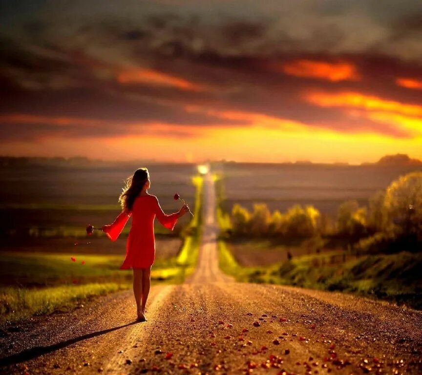 Путешествие влюбленных. Любоваться заходить. Окно с цветами. Любоваться заходить. Девушка в солнечный день у окна.