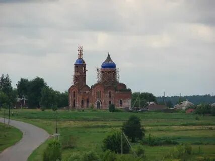 Елец лозовка