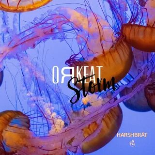 Щупальца медузы на поперечном срезе