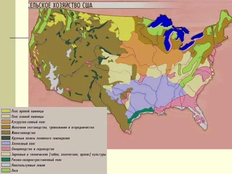 Карта сельского хозяйства США 11 класс. Сельское хозяйство США карта. Пояса сельского хозяйства США на карте. Сельскохозяйственные пояса США на карте.