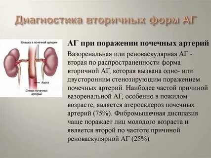 Диагностика почек