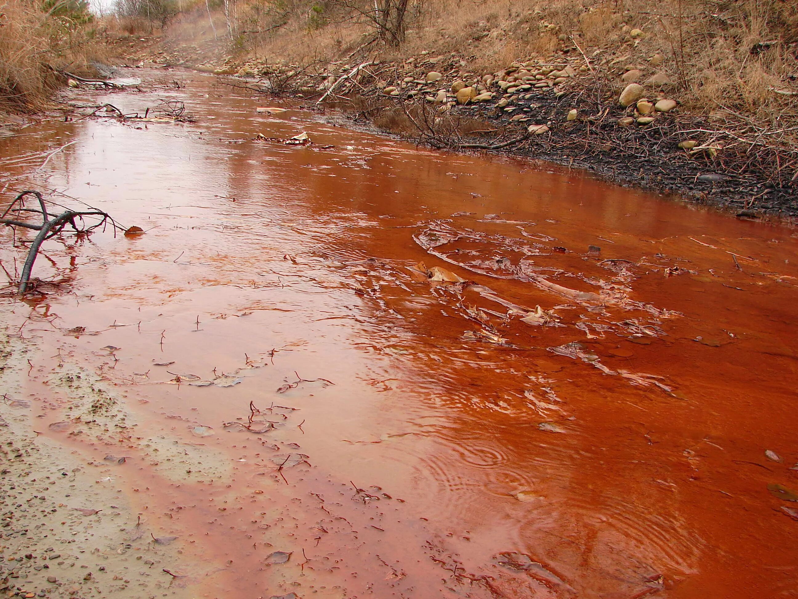 Экологические последствия воды. Загрязнение водоемов Чернобыль. Красная река Чернобыль. Река Припять радиация. Загрязнение почвы Чернобыль ЧАЭС.