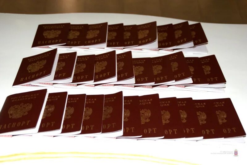 Вручение паспортов заставка. Сценарий вручения паспортов