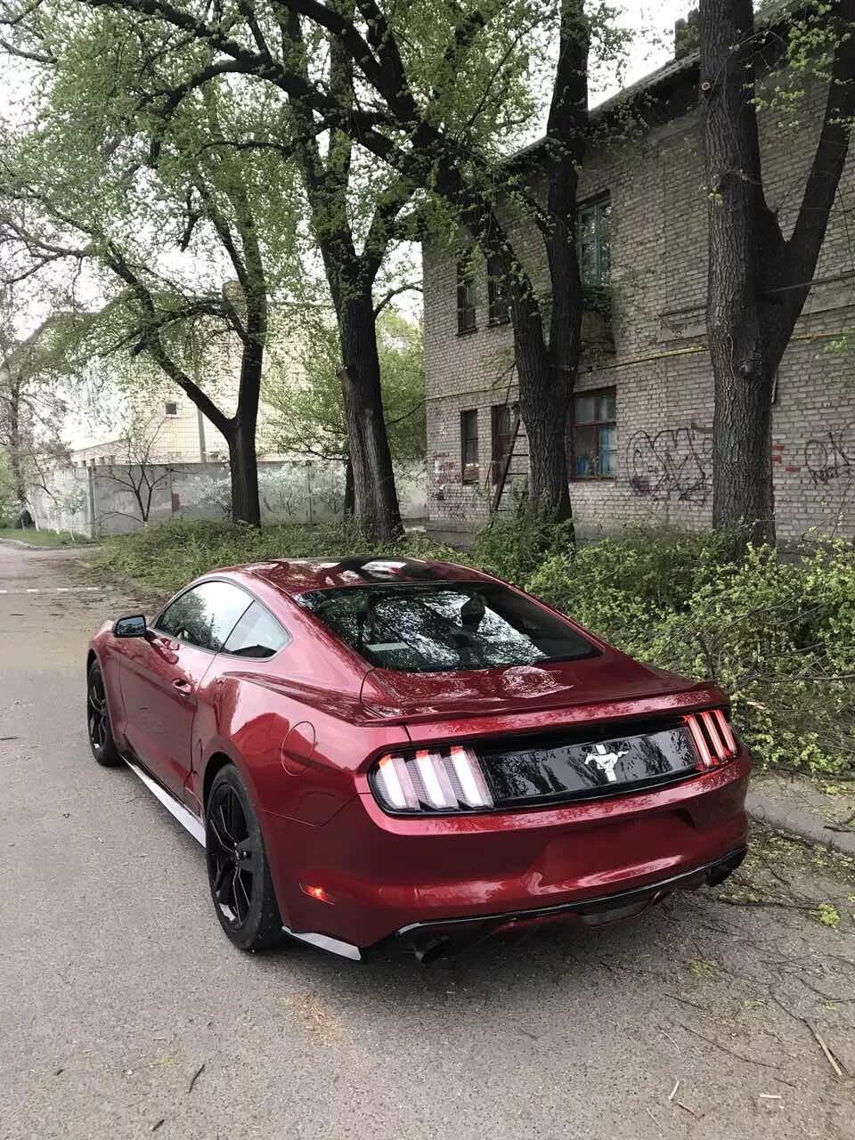 Ford mustang 5 shelby gt500. Форд мустанг с пробегом. Мустанг владикавказ фото. Ford mustang vi 2018. Форд мустанг серебристый.