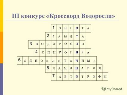 Кроссворд водоросли