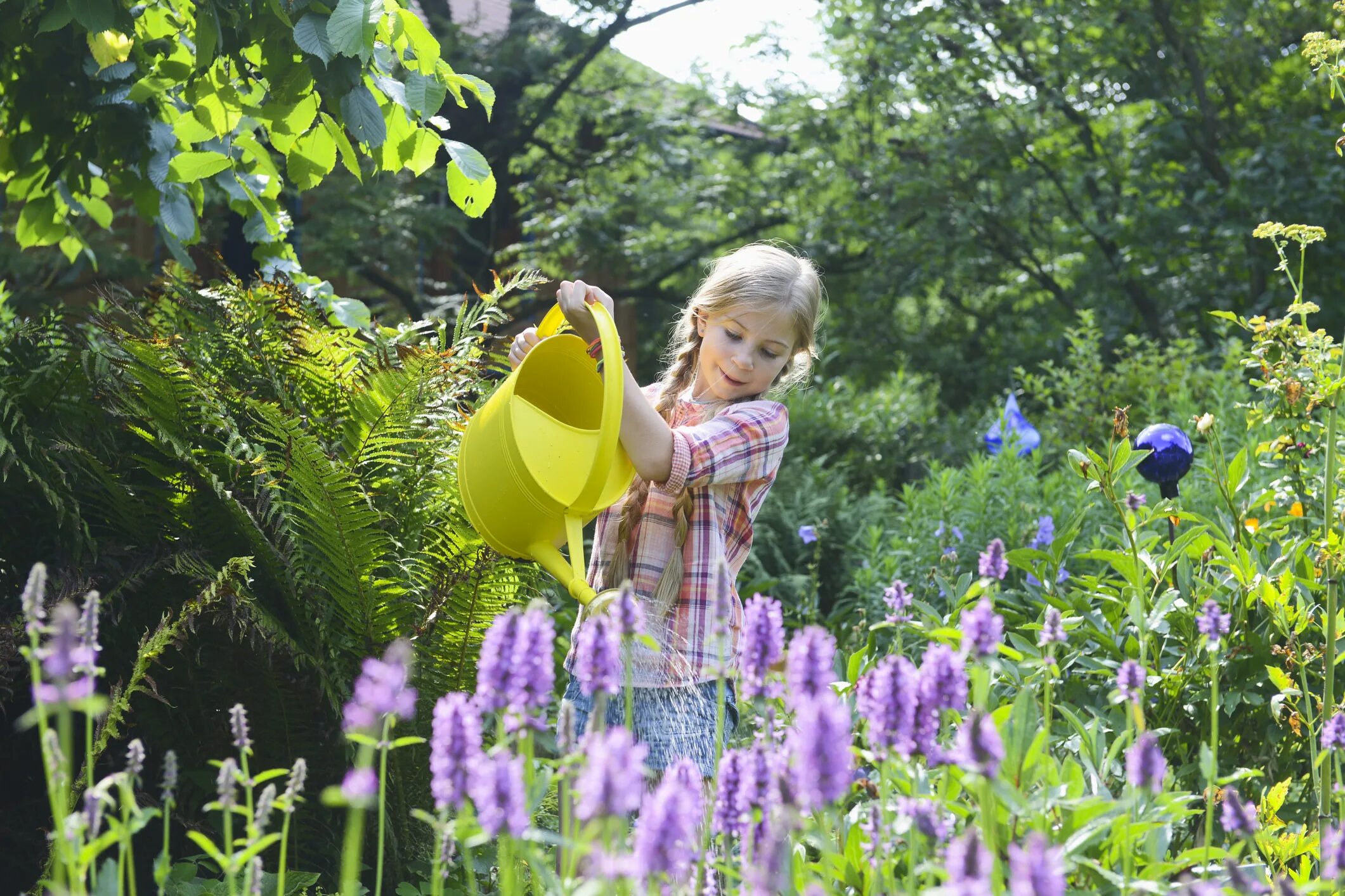 Mother is watering the flowers now. Женщина поливать рассаду. Цветы для бабушки. Water the flowers. Mother is watering the flowers now.