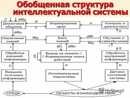 Структура диагностической процедуры