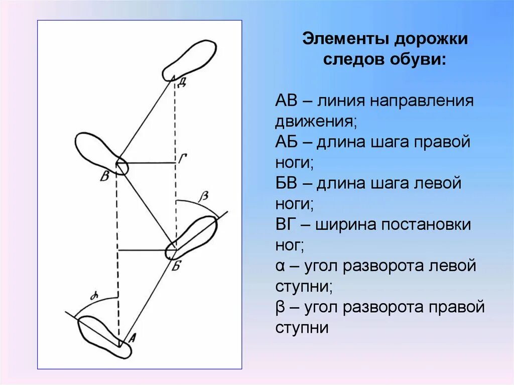 Дорожка следов