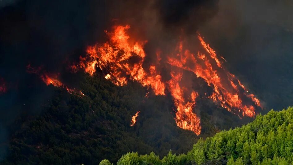 Катастрофы природы. August fire. Огненный август. Лесные и торфяные пожары. Пожар в лесу.