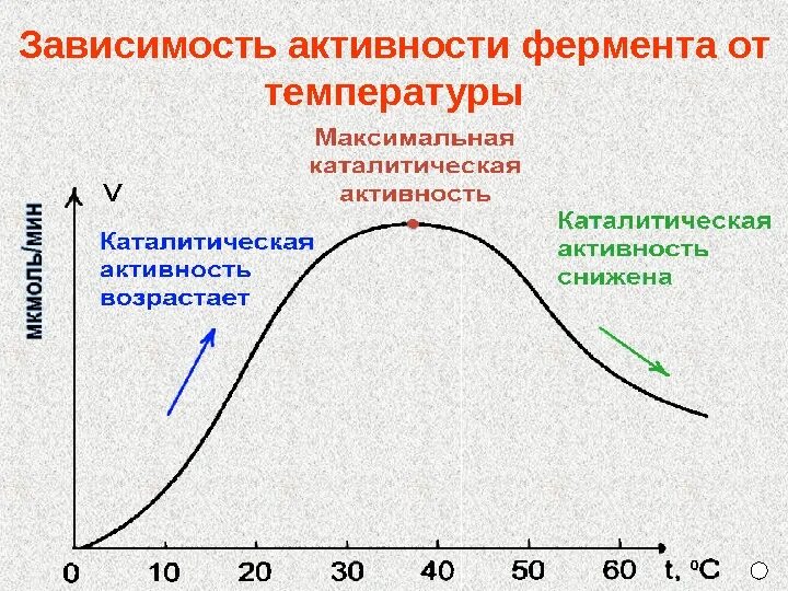 График зависимости активности ферментов от РН. График зависимости активности ферментов от PH. Зависимость активности ферментов от температуры и РН среды. Зависимость ферментативной реакции от PH.