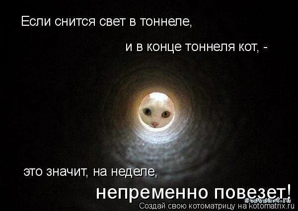 Произведение увидело свет. Свет в конце тоннеля. Вижу свет в конце тоннеля. Свет в конце тоннеля юмор. Я вижу свет в конце тоннеля.