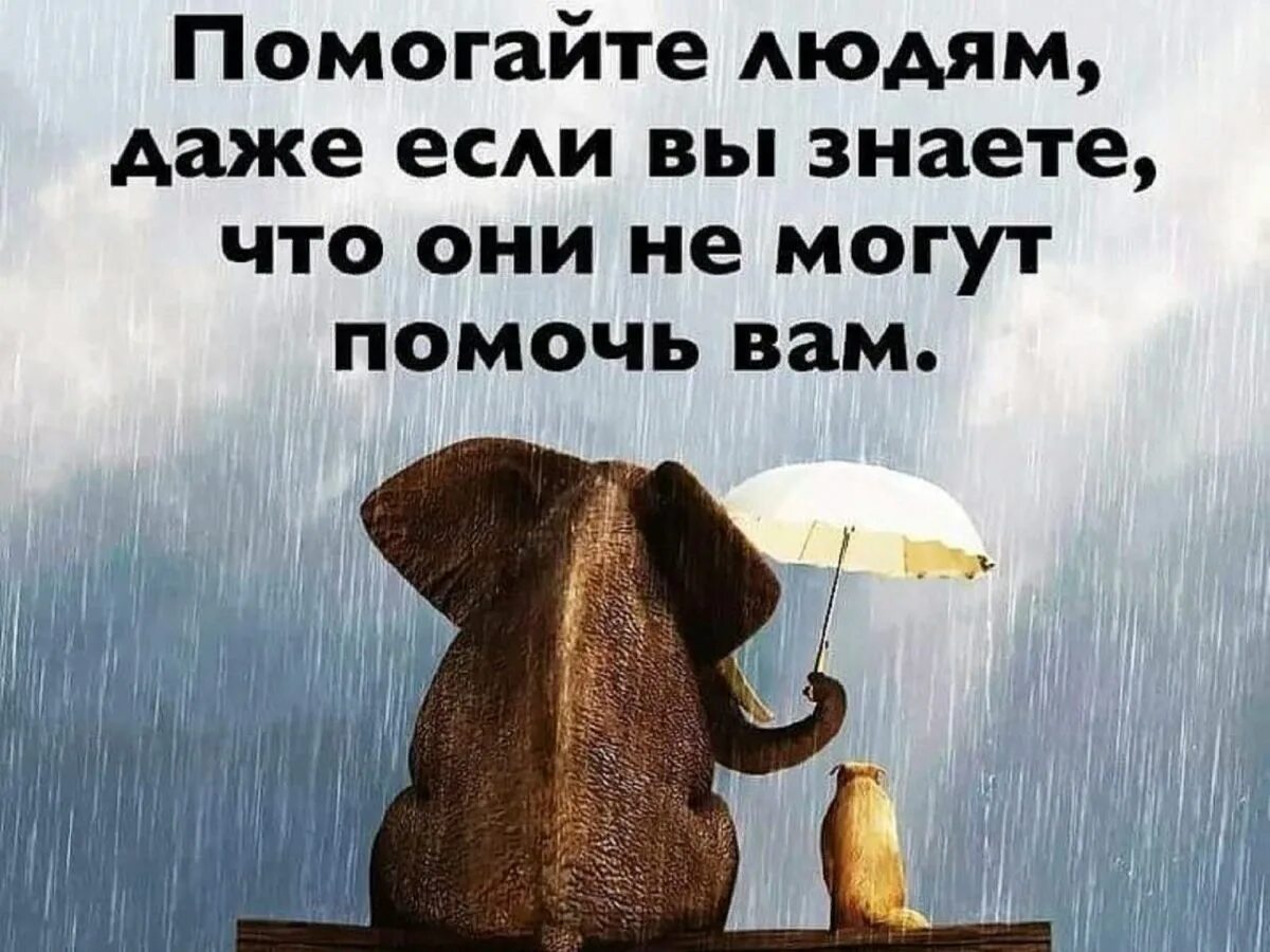 В трудное время и дашь. Умные мысли. Мудрые мысли. Мудрые позитивные высказывания. Высказывания в картинках.