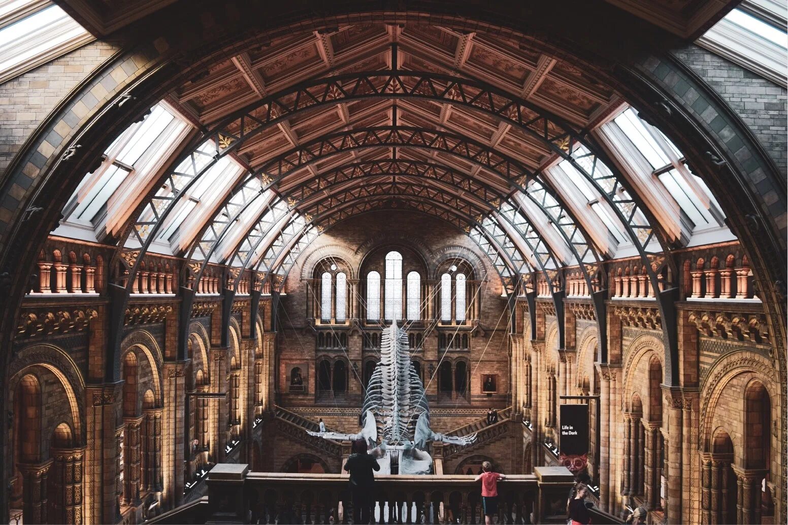 Натурал хистори музей Лондон. Музей естествознания (natural History Museum). Музей естествознания Лондон архитектура. Музей естествознания Лондон фасад. Знаменитый музей в лондоне