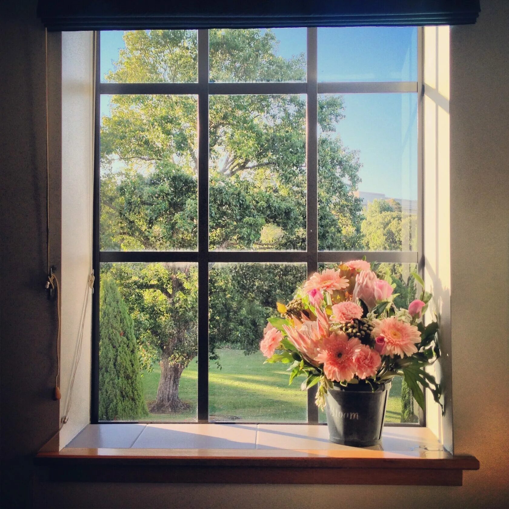 Окно в окне на андроид. Красивые окна. У окна. Окно с красивым видом. Окно с цветами на подоконнике.