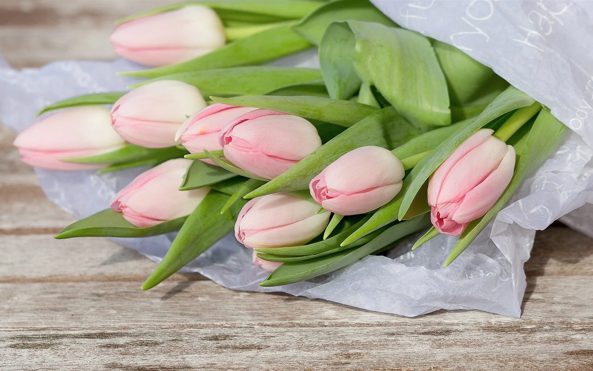 Что значат розовые тюльпаны. Пудровые тюльпаны. Нежно розовые тюльпаны букет. Розовые тюльпаны. Нежный букет тюльпанов.