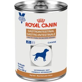 Dog gastrointestinal