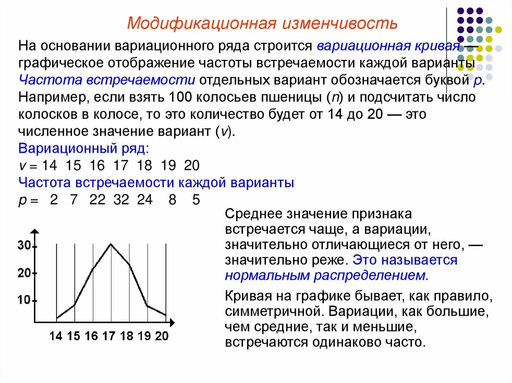 На основе данных вариантов. Лабораторная 9 класс модификационная изменчивость. Норма реакции вариационный ряд. Лабораторная работа по биологии 9 класс модификационная изменчивость. Лабораторная работа по биологии 10 модификационная изменчивость.