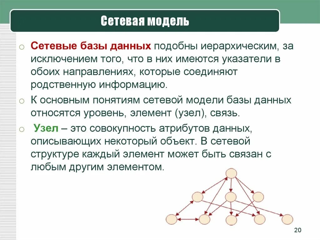 Сетевая модель данных уровень