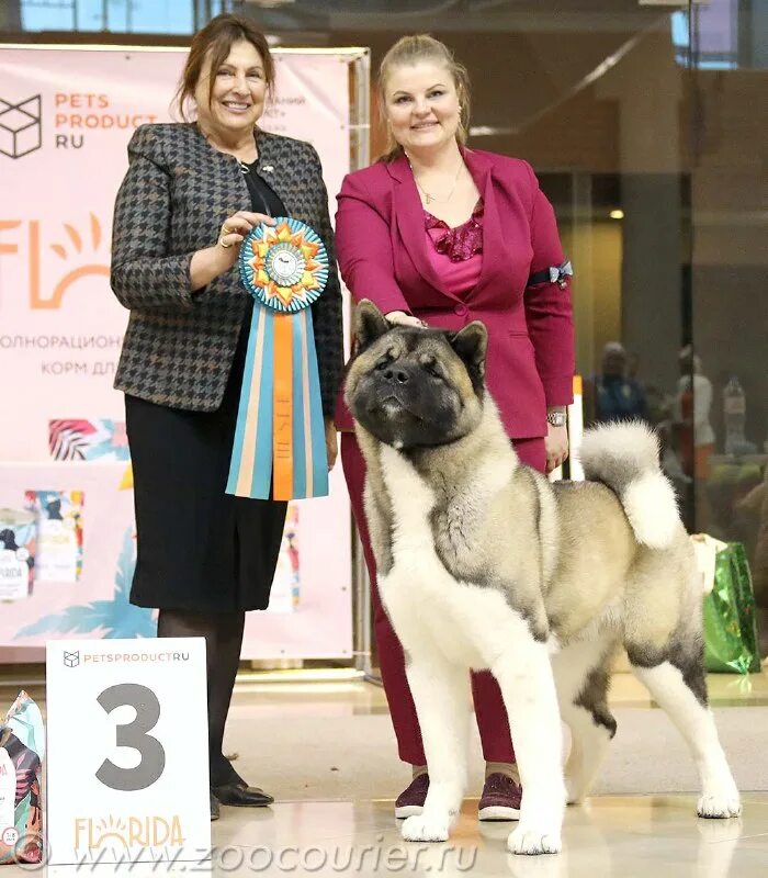зоокурьер выставки собак в санкт петербурге 2024. зоокурьер выставки собак в санкт-петербурге 2022. зоокурьер выставки собак в санкт петербурге 2024. зоокурьер выставки собак в санкт петербурге 2024. зоокурьер санкт-петербург.