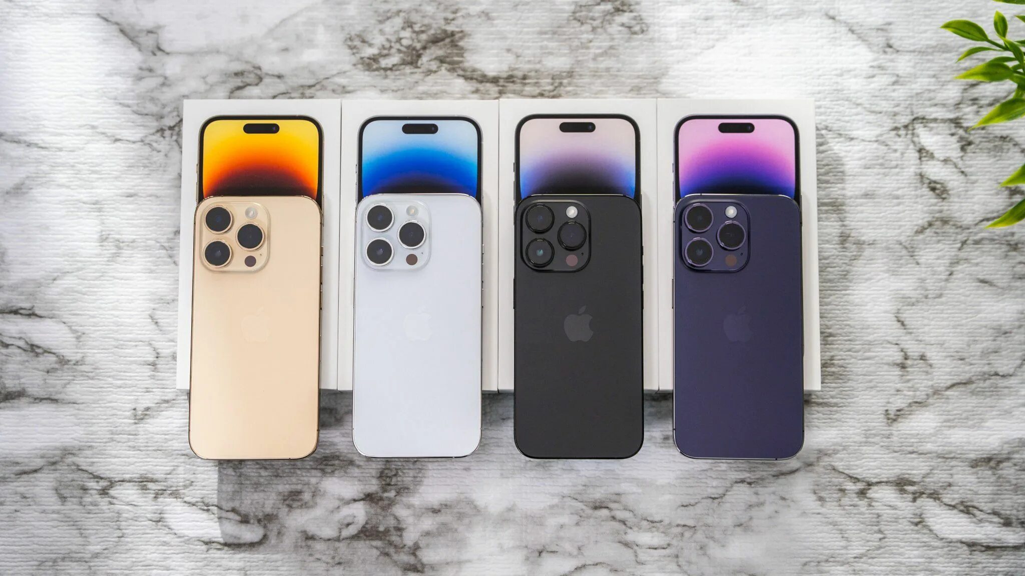 Каких цветов есть айфон 14 про. Айфон 14 Pro Max Deep Purple. Iphone 14 Pro Max Purple. Iphone 14 Pro Purple. Айфон 13 Pro Max Deep Purple.