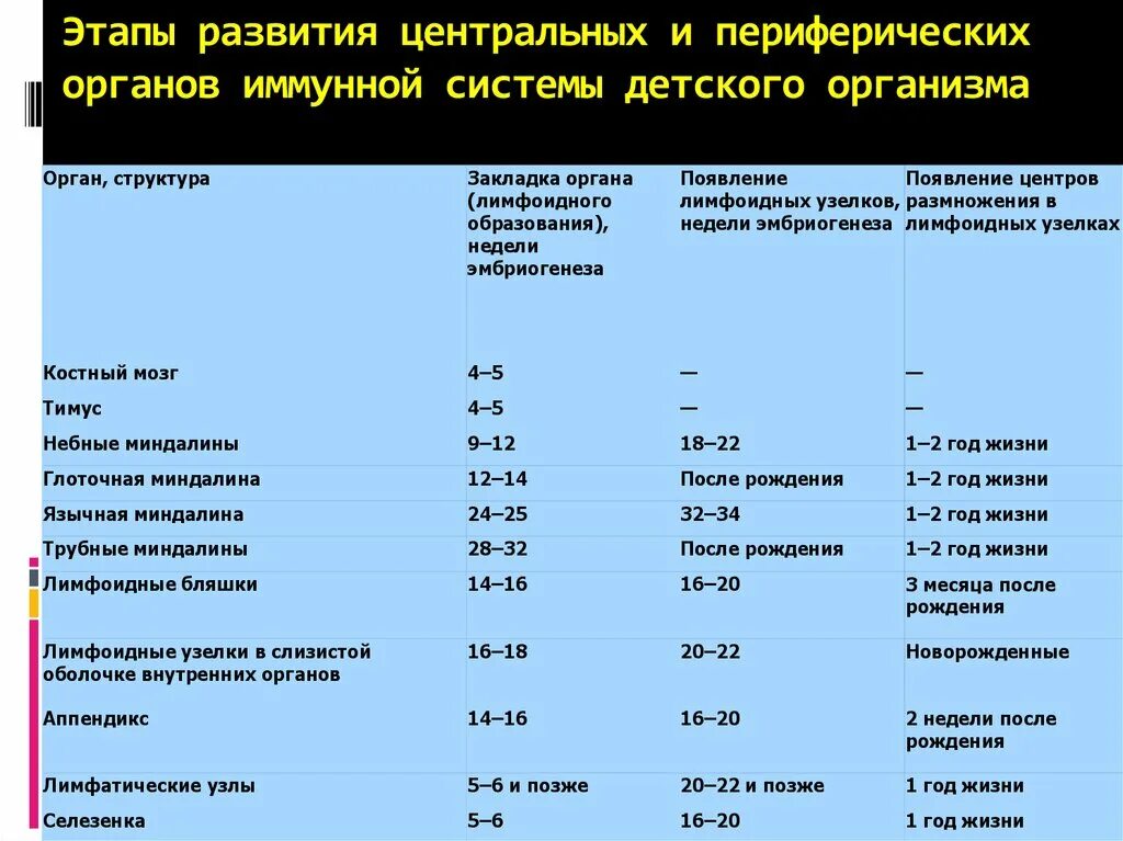 Периоды развития после рождения. Переходные периоды развития иммунной системы детского. Периодами формирования иммунитета являются. Этапы развития детского организма. Развитие органов иммунной системы.