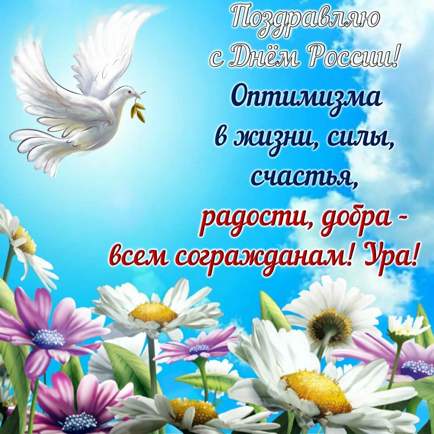 Поздравления с днём росс. Картинки июня с пожеланиями. Картинки июня с пожеланиями. Поздравление с днем рос. Поздравления с днём росс.