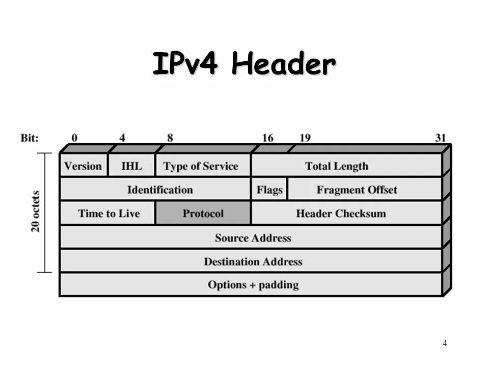 Page id header. Структура пакета ipv4. Структура заголовка ipv4. Формат пакета ipv4. Ipv4 header.