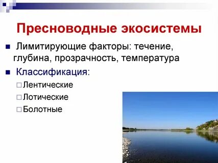 Экологические факторы экосистем