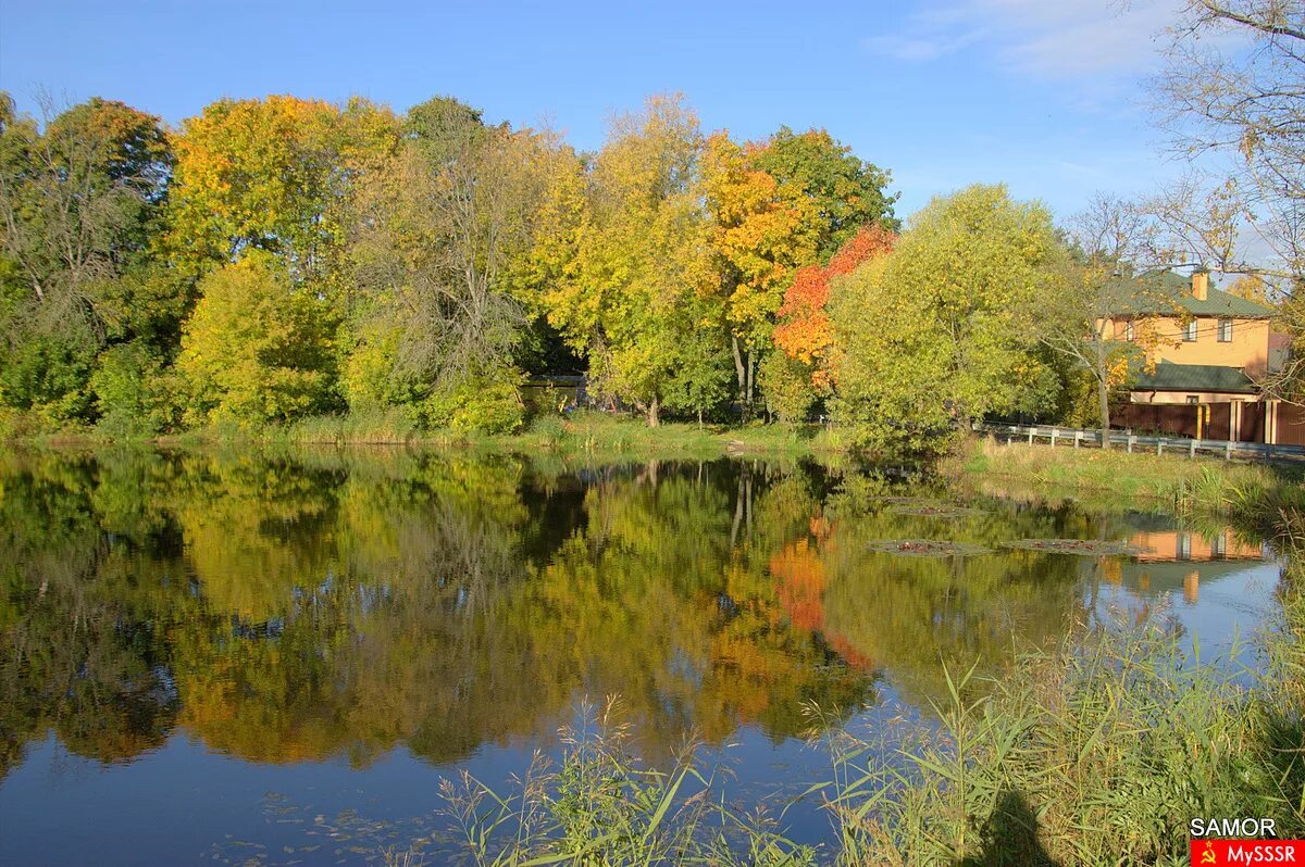 тарелочкин пруд балашиха. серебряный пруд салтыковка. желтый пруд в салтыковке. салтыковка пруд. тарелочкин пруд балашиха.