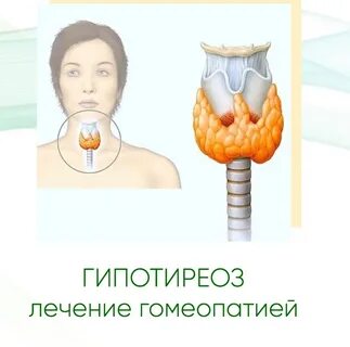 Может ли щитовидка уменьшится