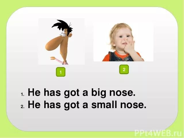 He s got nose. Small nose картинка. Английский язык small nose. Has got a big nose. It s got a big nose.