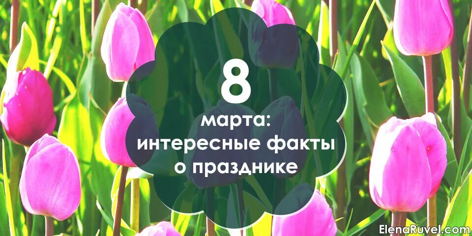 Международный женский день факты. Международный женский день интересные факты.