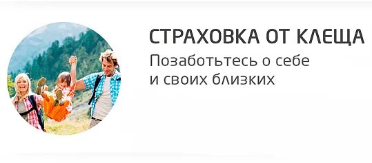 Страхование от клеща ингосстрах. Объявление о страховании от клеща. Страхование Антиклещ. Реклама страховки от клеща. Страховка от клеща сбербанк