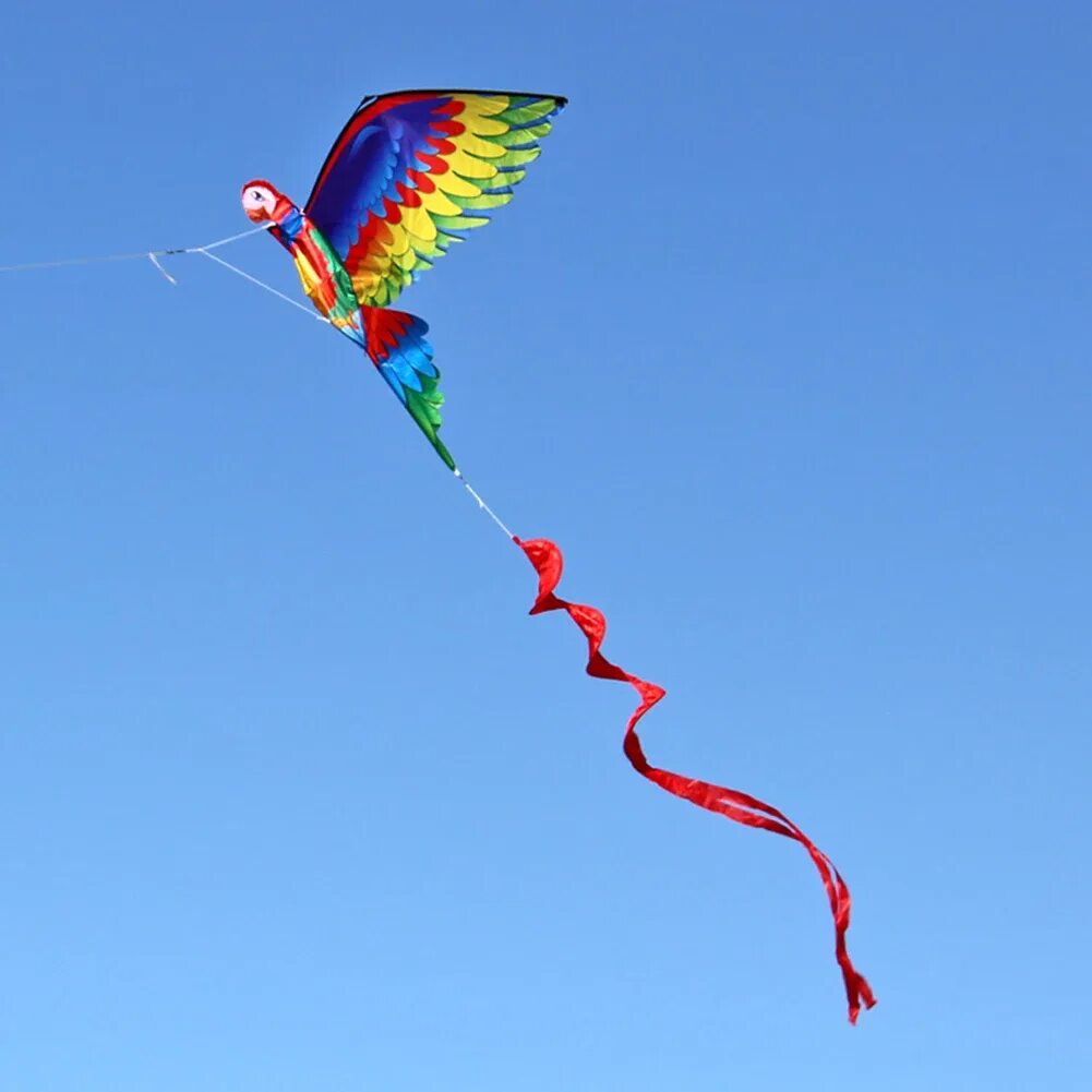 Принцип воздушного змея. 058d 2936d воздушный змей. Летучий змей. Летающие змеи. Воздушный змей попугай.