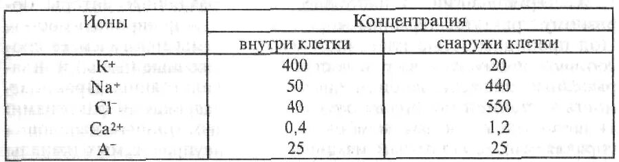 Концентрация натрия внутри клетки. Концентрации ионов внутри и снаружи клетки. концентрации ионов в клетке и вне клетки. концентрация ионов натрия внутри клетки. концентрация ионов калия внутри клетки.