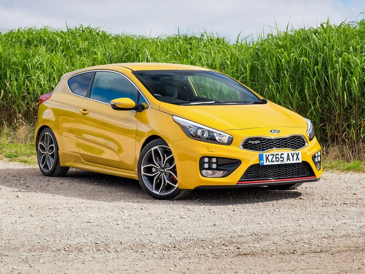 Сид 2015. Kia ceed gt 2018. kia pro ceed gt 2015. kia pro ceed gt 2025. kia pro ceed gt 2018.