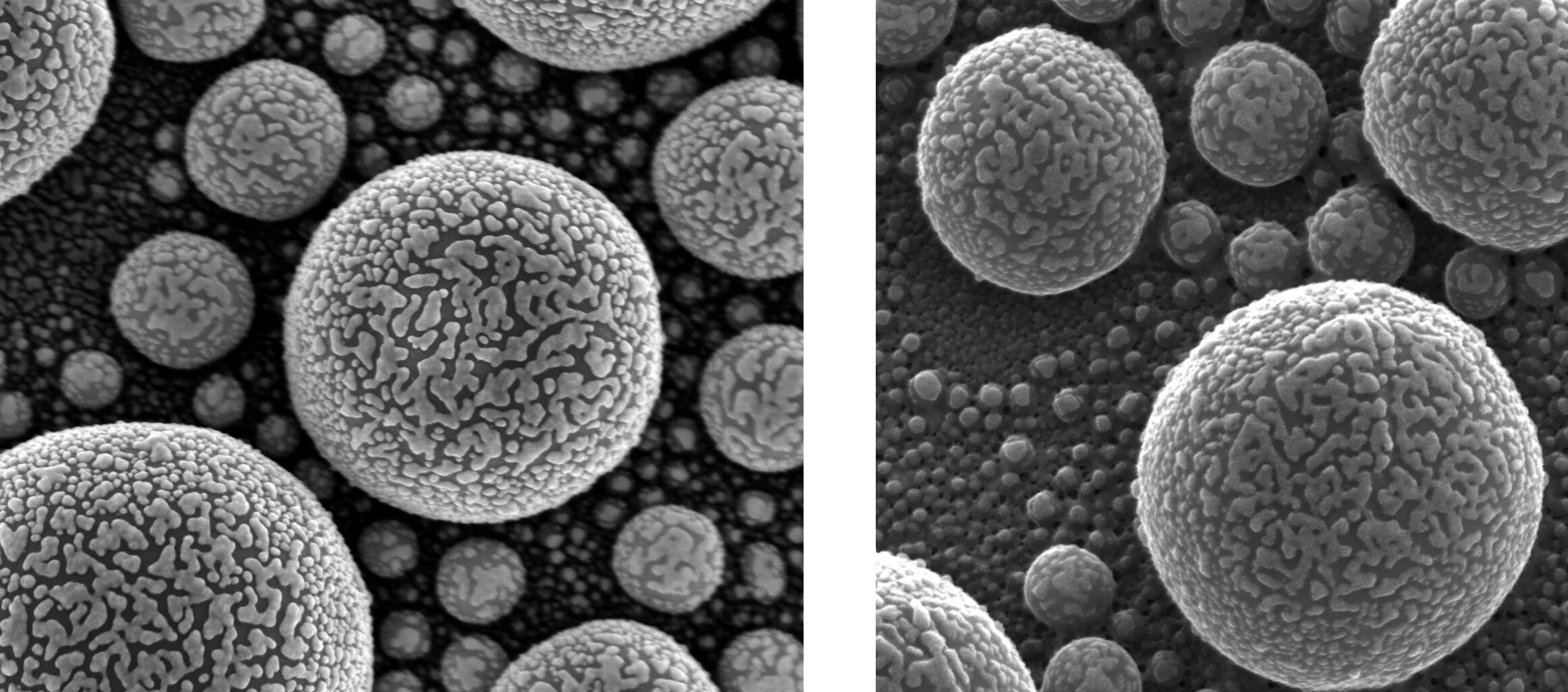 Gold Atoms Using a Helium Ion Microscope