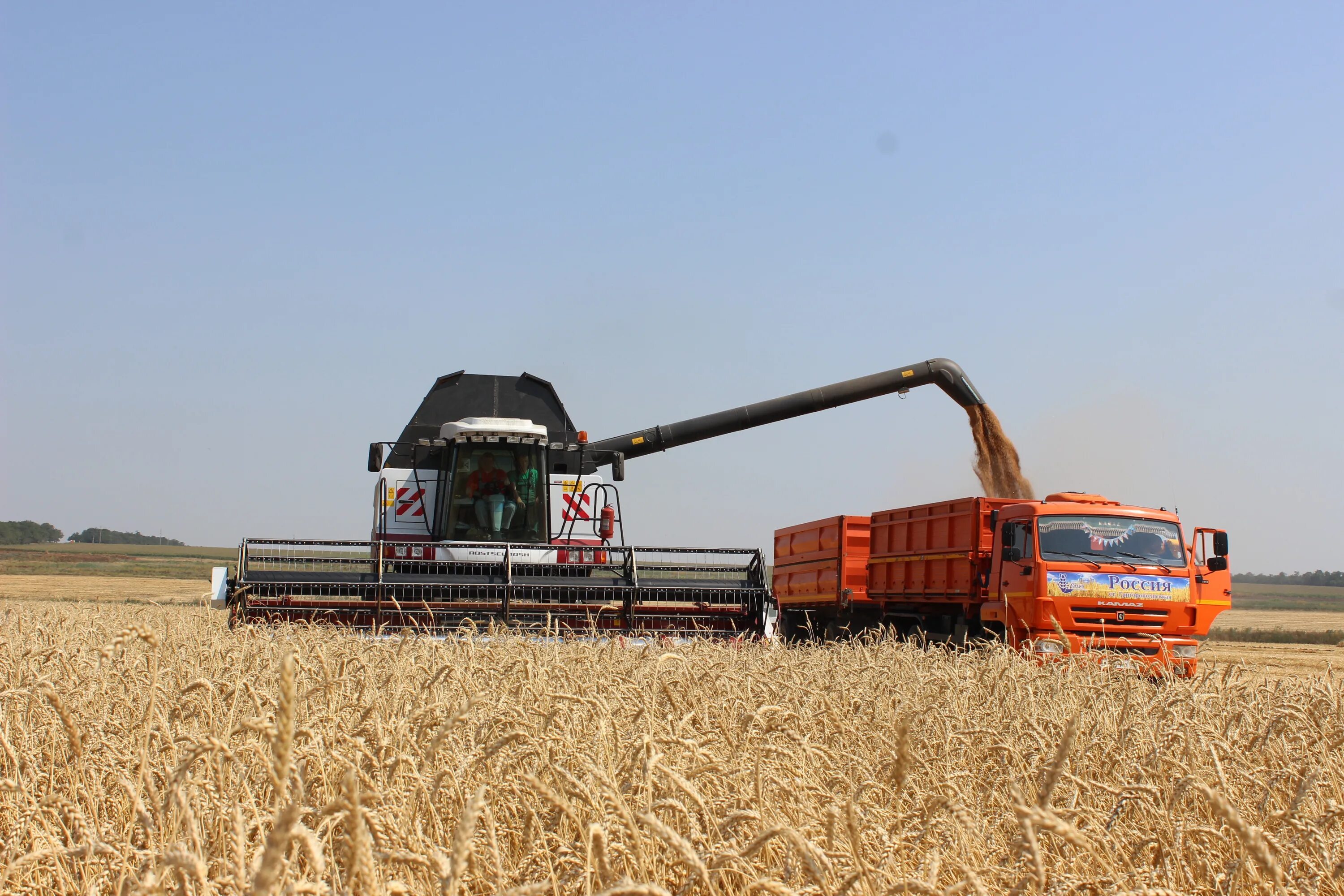 Апк дон острогожск. Спк дон. Спк дон. Уборка зерновых алтайского края. Поселок матвеев курган ростовской.
