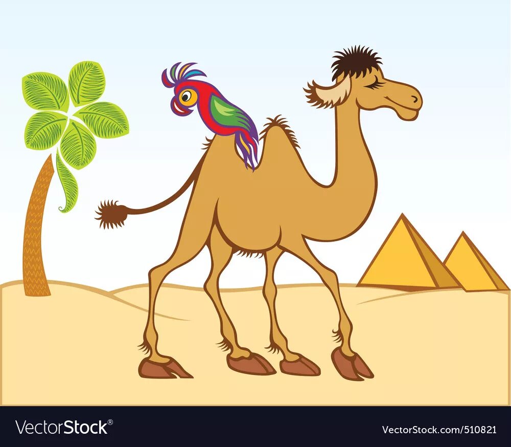 Уши верблюда. Верблюжья шерсть. Верблюд бактриан. Верблюд. Верблюжий волос.